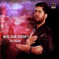 Meri Jaan Sakina S.a Ali Sajjad Song Download Mp3