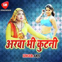 Aaib Duar Tohari Sonu Bihari Song Download Mp3