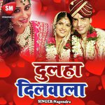 Gaili Sasurari Aaili Payal Mukharjee Song Download Mp3