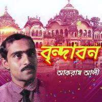 Prannath Bondhu Kothay Roilo Akram Ali Song Download Mp3