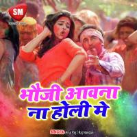 Aaj Jija Aila Sasurari Ji Sanjay Lal Yadav Song Download Mp3