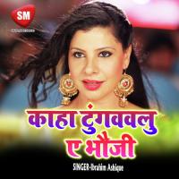 Humra Lahanga Me Machchhar Signature Karata Ibrahim Ashique Song Download Mp3