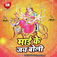 Robe Le Nanke Chhanke Sanjiv Sanehiya Song Download Mp3