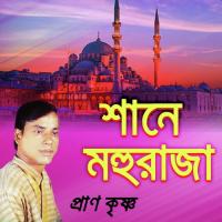 Purnimar Condra Jokhon Pran Krisna Song Download Mp3