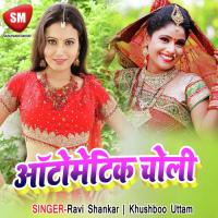 Tu Leaiba Ho Raja Ji Automatic Khole Ke Choliya Mithilesh Rasiya Song Download Mp3