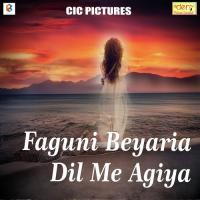 Faguni Beyariya Dil Me Agiya Vikash Kumar Raja Ji Song Download Mp3