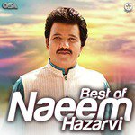 Challa Mera Ji Dhola Naeem Hazarvi Song Download Mp3