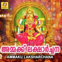 Amme Maruthukavil Sreejith Song Download Mp3