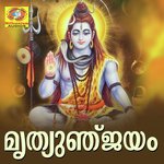 Neethayasagara Sujithkrishna Song Download Mp3