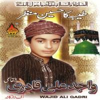 Kisi Ka Husn Nahi Wajid Ali Qadri Song Download Mp3