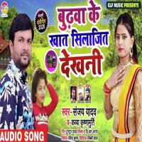 Budhwa Ke Khat Shilajit Dekhni Juganu Parwaj Song Download Mp3