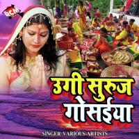 Nariyal Leaila Piya Ho Dimpal Singh Song Download Mp3