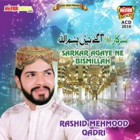 Saara Piyar Zamane Da (Array) Rashid Muhammad Qadri Song Download Mp3