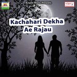 Peke Mahakatare Bhakabhak Raja Durgesh Tiwari Song Download Mp3