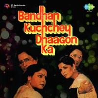 Hands Up Jaani Hands Up Asha Bhosle,Usha Uthup,Suresh Wadkar Song Download Mp3