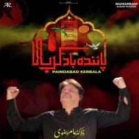 Imam E Asr Bulati Hai Tum Ko Kerb O Bala Dr Amir Rizvi Song Download Mp3