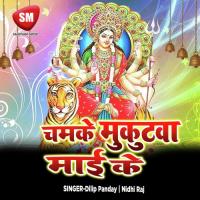 Jhar Jhar Lor Gire Aawaea Rowai Ashok Aryan Song Download Mp3