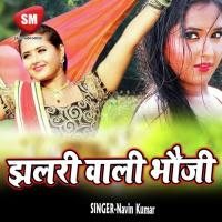 Payal Baja Ke Dilwa Churawelu Lalu Lal Yadav Song Download Mp3