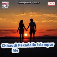 Chhaudi Pakadailo Islampur Me Lalu Yadav Song Download Mp3