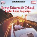 Cooler Lagawe Liha Ge Chhaudi Surendra Raj Yadav Song Download Mp3