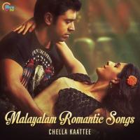 Pathivaayi Njan Shabareesh Varma,Rajesh Murugesan Song Download Mp3