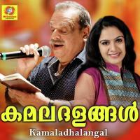 Malayalikal Adithya S P Song Download Mp3