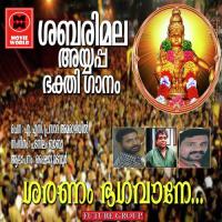 Pavithramam Shaiju Madavoor Song Download Mp3