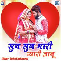 Sun Sun Mhari Pyari Janu Salim Shekhawas Song Download Mp3