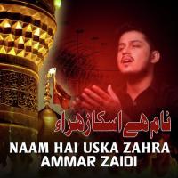 Naam Hai Uska Zahra Ammar Zaidi Song Download Mp3