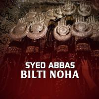 Haaye Qasim Syed Abbas Song Download Mp3