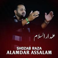 Bhai Krna Hai Chehlum Shozab Raza Song Download Mp3