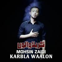 Karbla Waalon Mohsin Zaidi Song Download Mp3