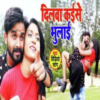 Dilwa Kaise Bhulai Dildar Ke Deepak Dehati Song Download Mp3