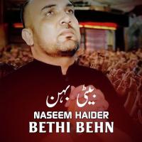 Veer Tur Gaya Naseem Haider Song Download Mp3