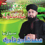 Tu Sab Se Hi Bara Hai Muhammad Shahrukh Qadri Song Download Mp3