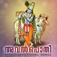 Sarvam Samarpichu Ganesh Iyer Song Download Mp3