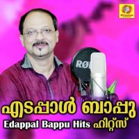 Chembarathi Poovin Edappal Bappu Song Download Mp3