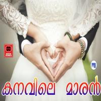 Nin Karalil Sleem Kodathoorum Song Download Mp3