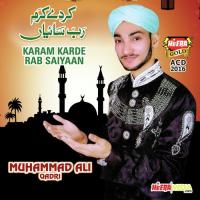 Aayo Muhammad (Array) Muhammad Ali Qadri Song Download Mp3