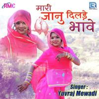 Mari Janu Dilade Bhave Yuvraj Mewadi Song Download Mp3