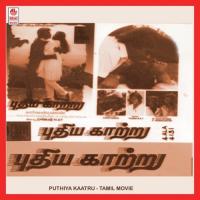 Ethanai Kalanthan Mu Ka Muthu Song Download Mp3