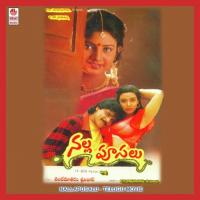 Ammo Edi Roddu Meeda S.P. Balasubrahmanyam Song Download Mp3