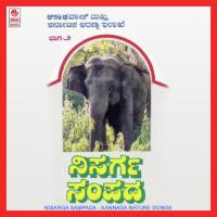 Uruvalu Soudeya Niranthara Samasye H.R. Kavita Krishnamurthy Song Download Mp3