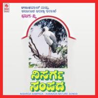 Sooryana Preethisu Group Song Song Download Mp3