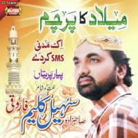 What A Fine Madina Sohail Kaleem Farooqi Song Download Mp3