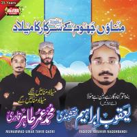 Maula Mere Maula Yaqoob Ibrahim Naqshbandi,Muhammad Umar Tahir Qadri Song Download Mp3