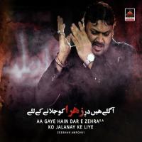 Aa Gaye Hain Dar E Zehra S.a Ko Jalanay Ke Liye Zeeshan Amrohvi Song Download Mp3