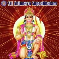 Shri Hanumanji Ki Aarti Sanjeevani Bhelande Song Download Mp3