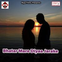 Hath Chhora Gailu Jabase Albela Ashok Song Download Mp3