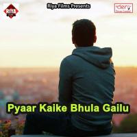 Tohar Jawani Lage Aam Ke Juice Re Janera Lal Yadav Song Download Mp3